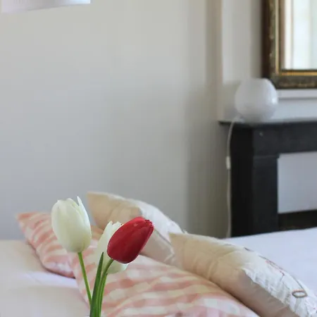 Πανσιόν D'hotes Chateau De Martragny